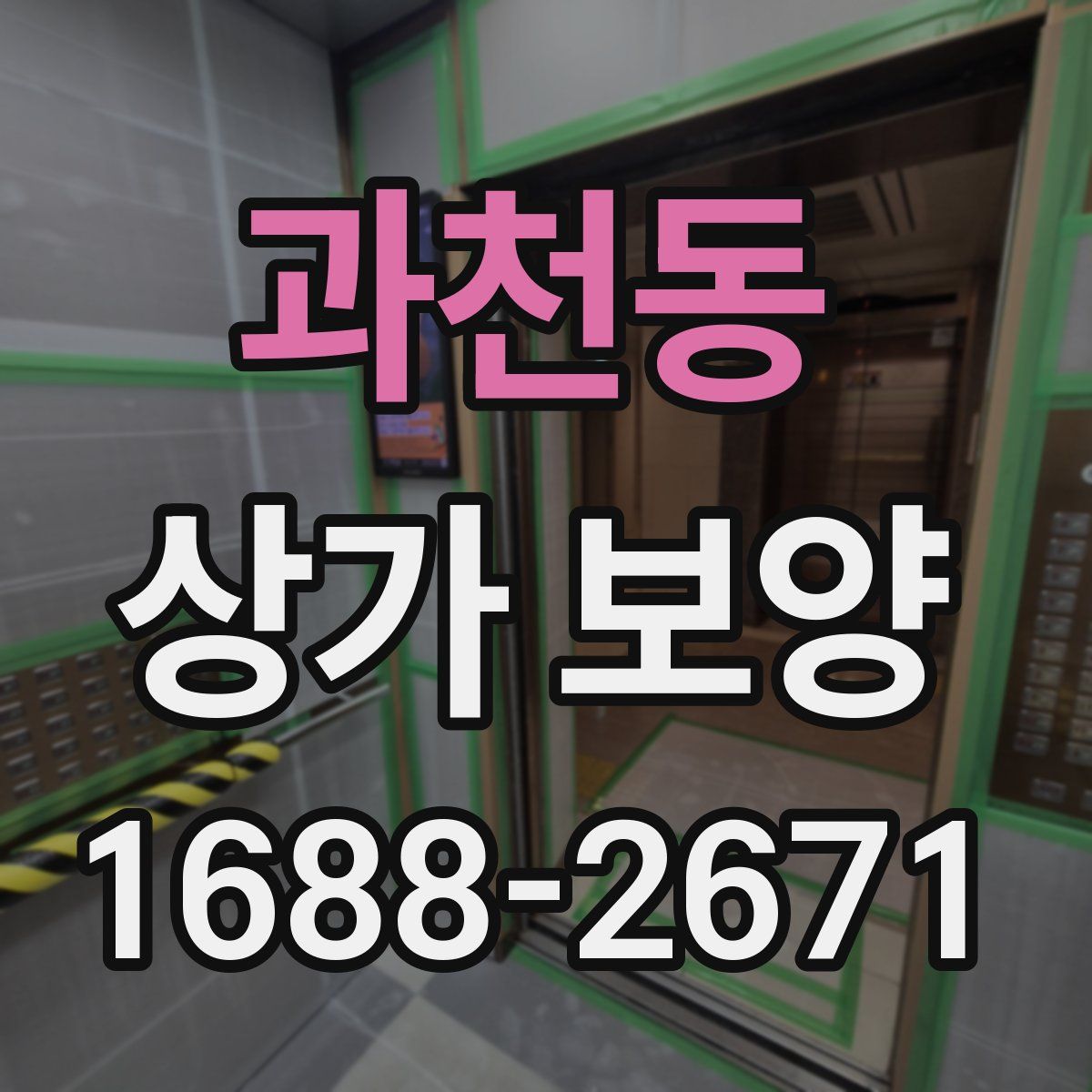 과천동 상가 보양