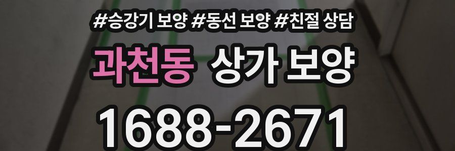 과천동 상가 보양