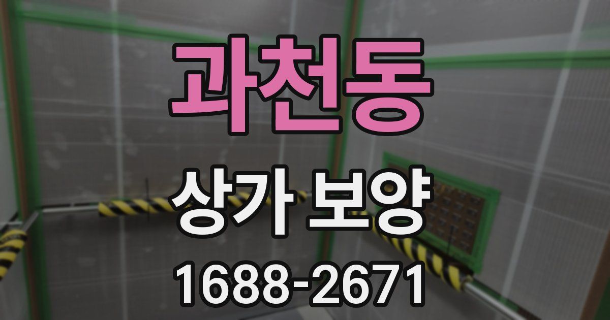 과천동 상가 보양