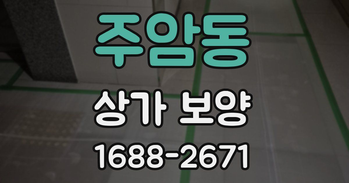주암동 상가 보양