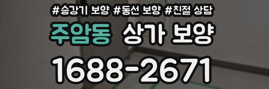 주암동 상가 보양