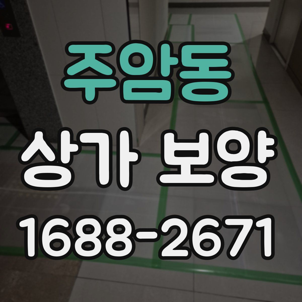 주암동 상가 보양