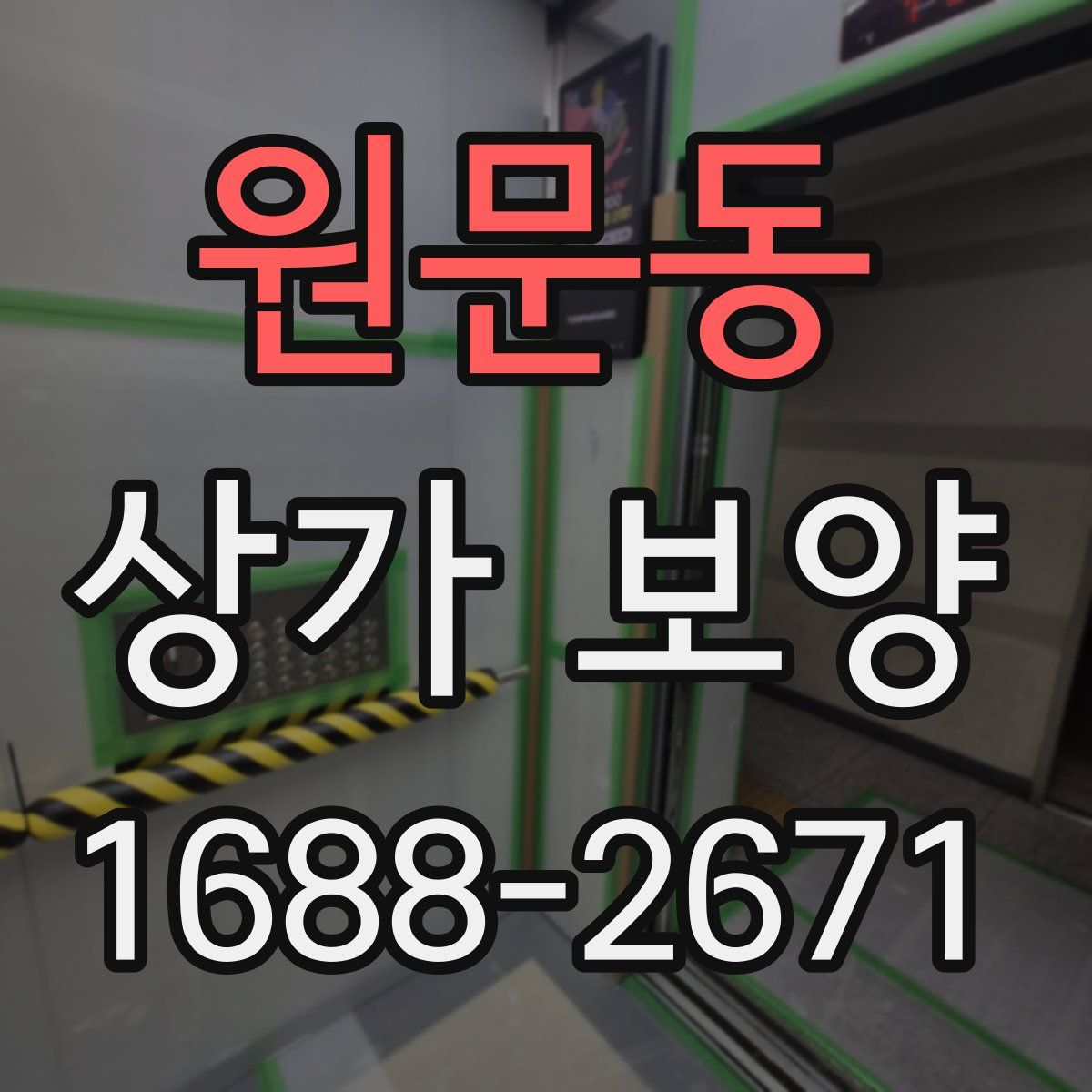 원문동 상가 보양