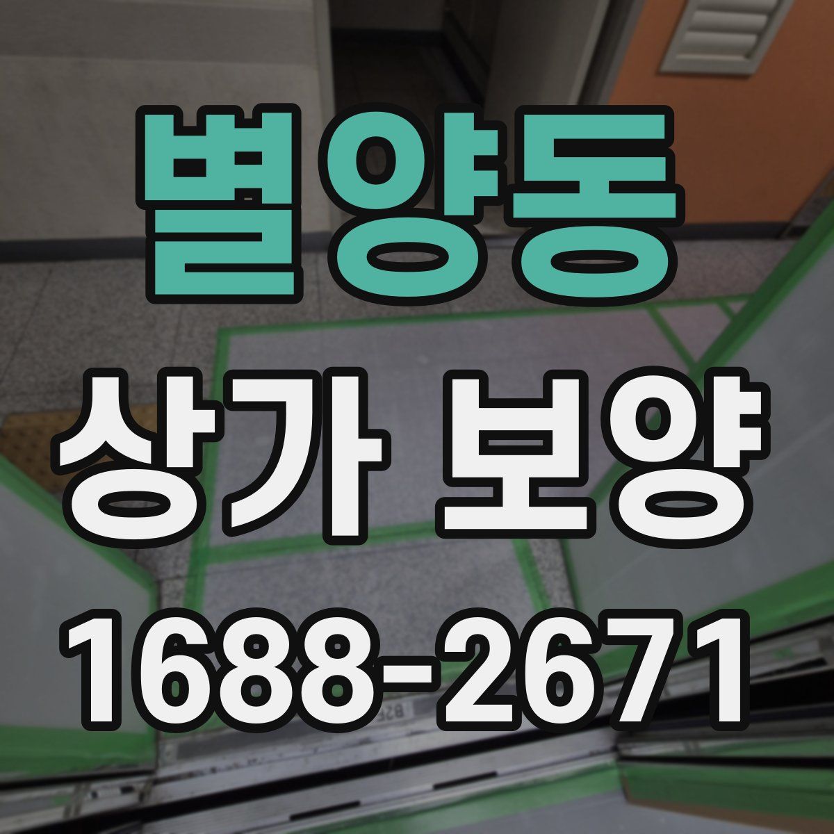 별양동 상가 보양