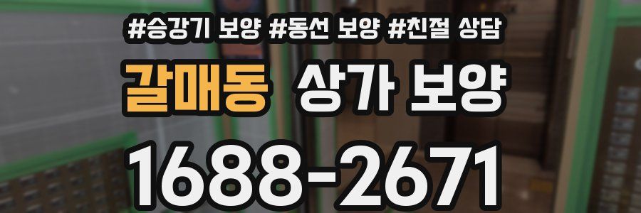 갈매동 상가 보양