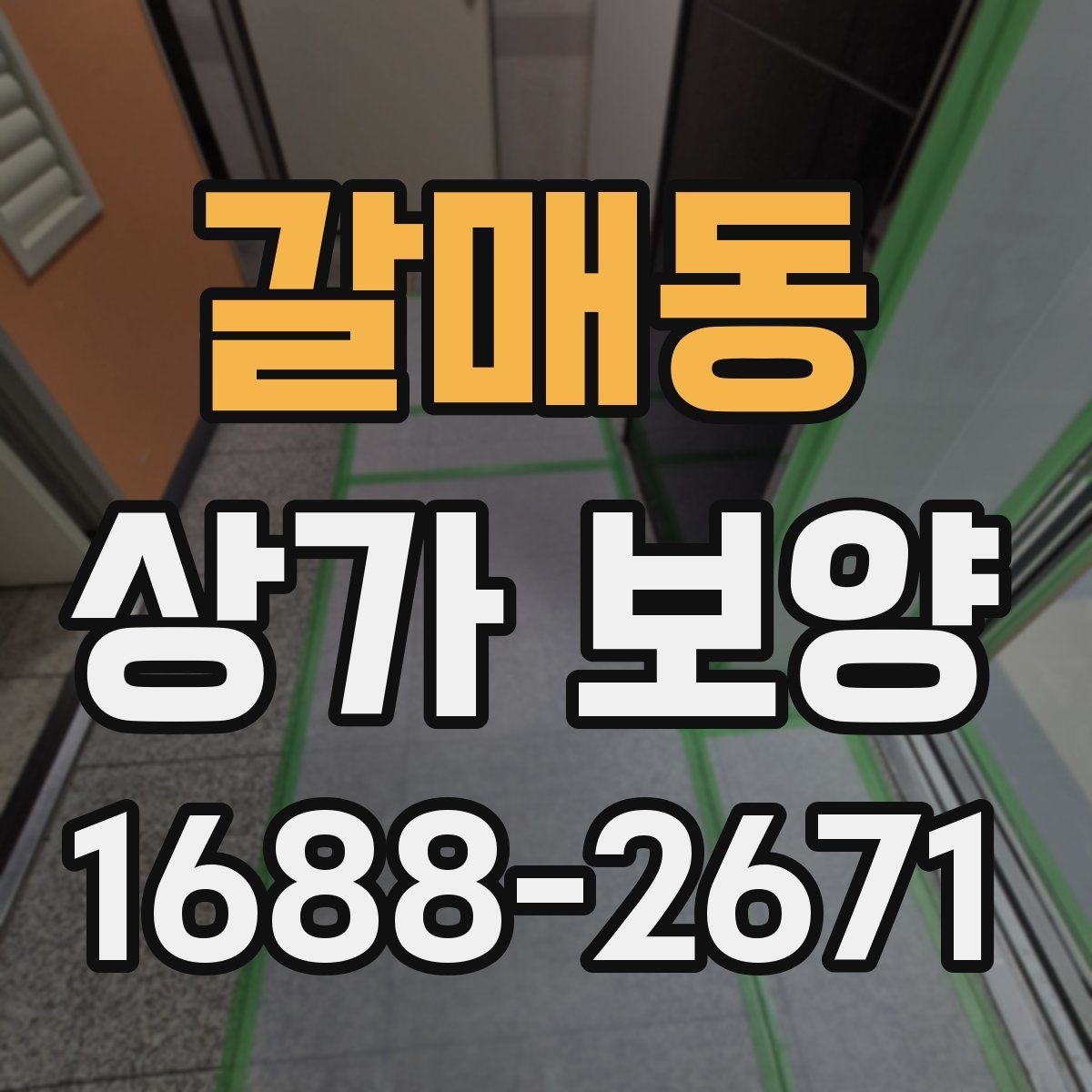 갈매동 상가 보양