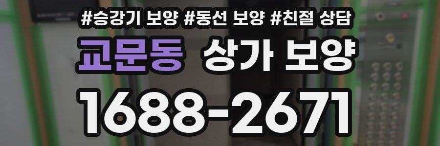 교문동 상가 보양