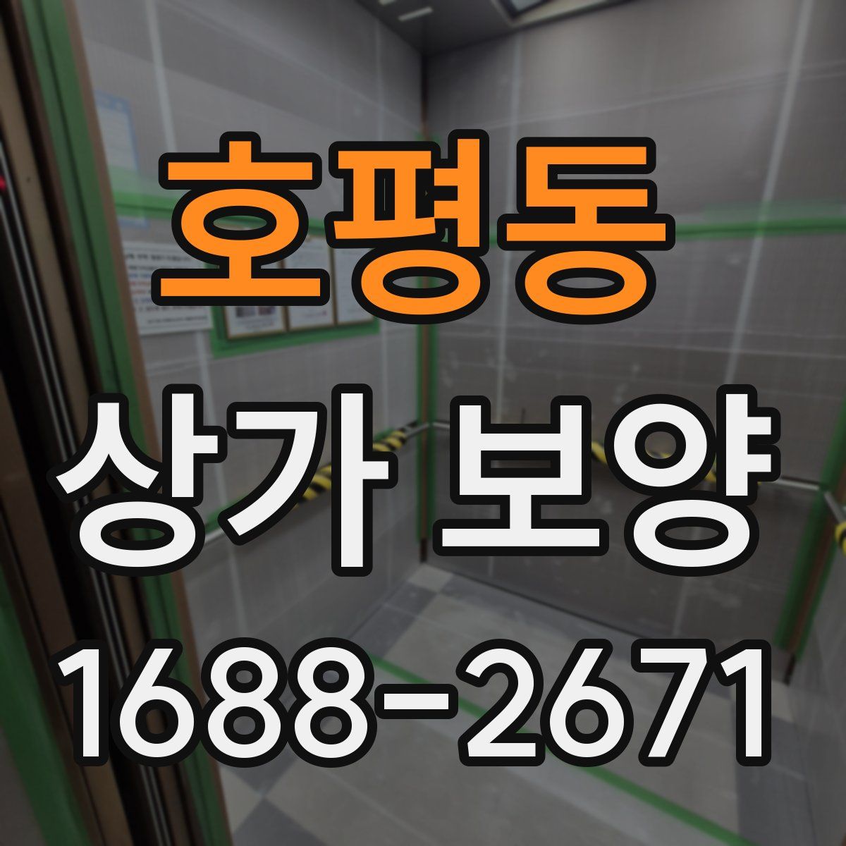 호평동 상가 보양