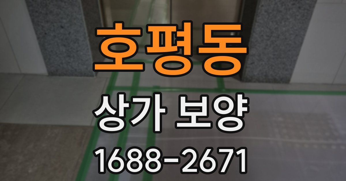 호평동 상가 보양