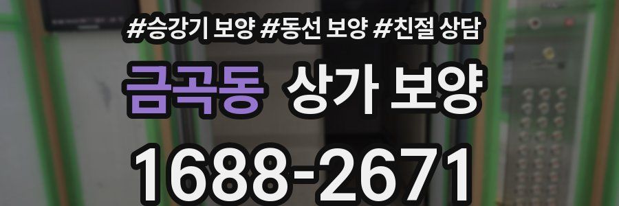 금곡동 상가 보양