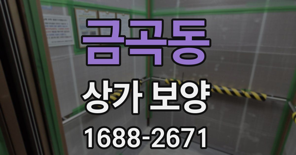 금곡동 상가 보양