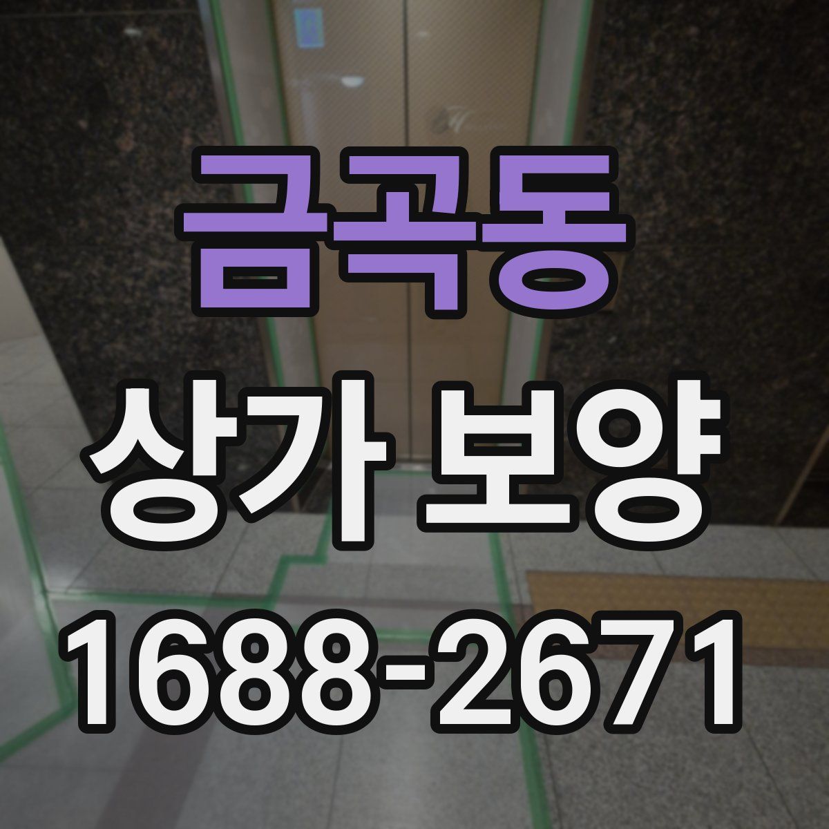 금곡동 상가 보양