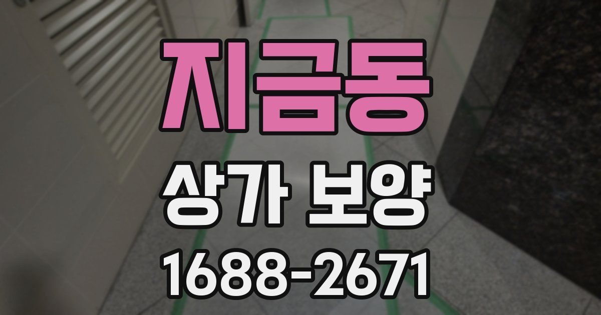 지금동 상가 보양