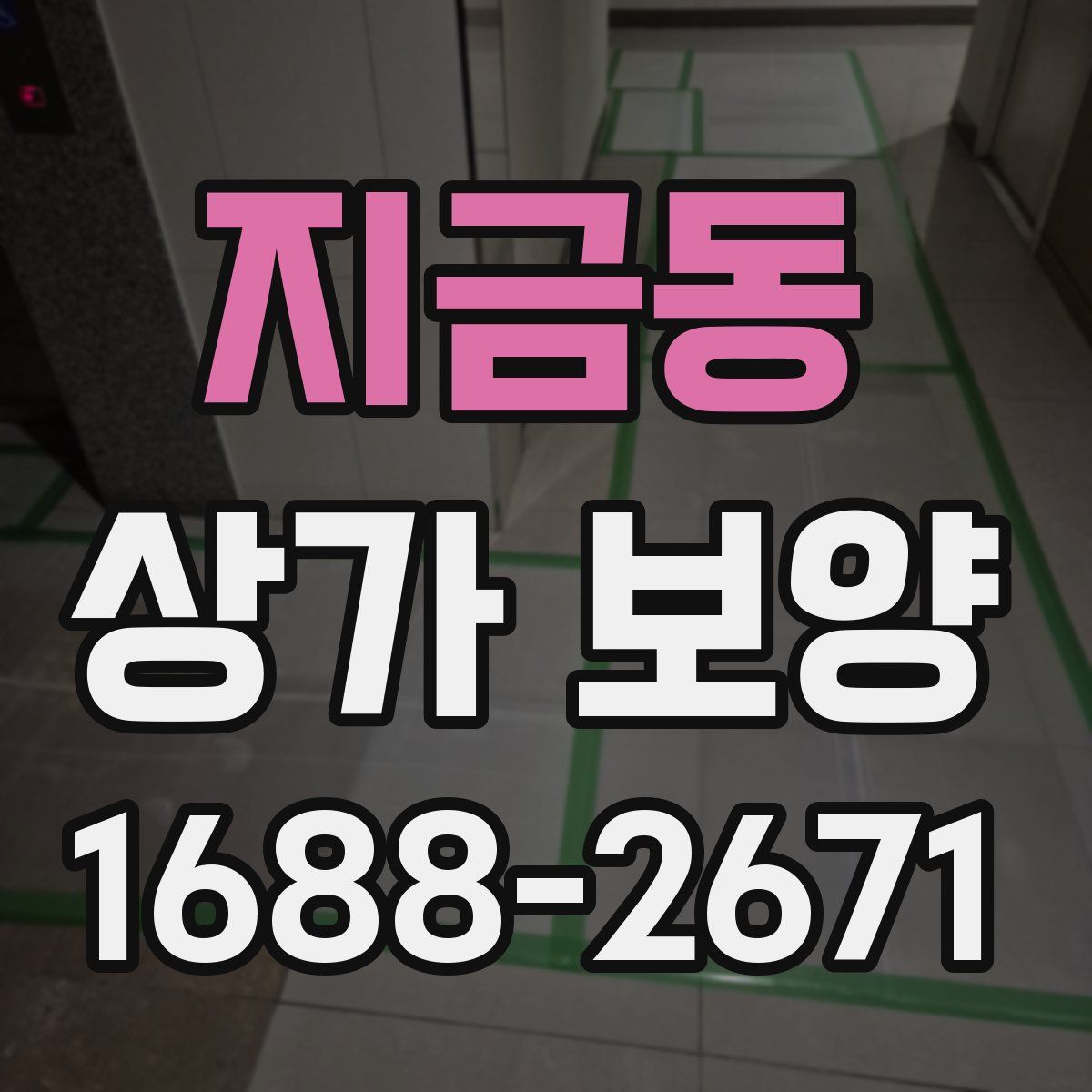 지금동 상가 보양
