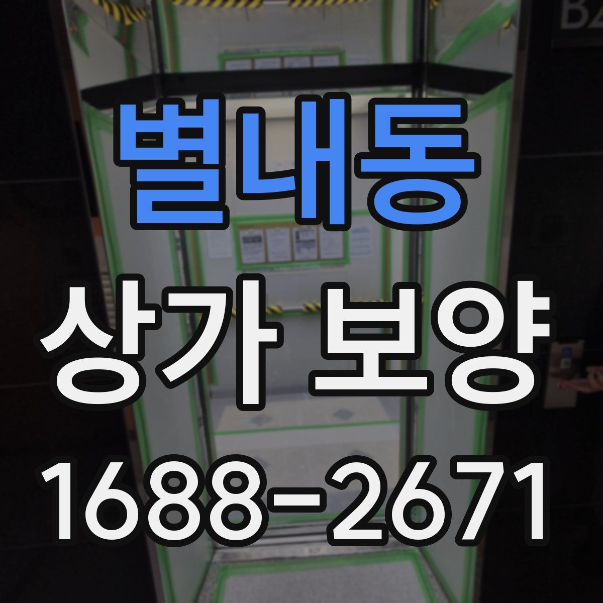 별내동 상가 보양