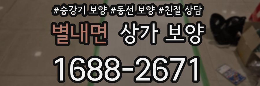 별내면 상가 보양