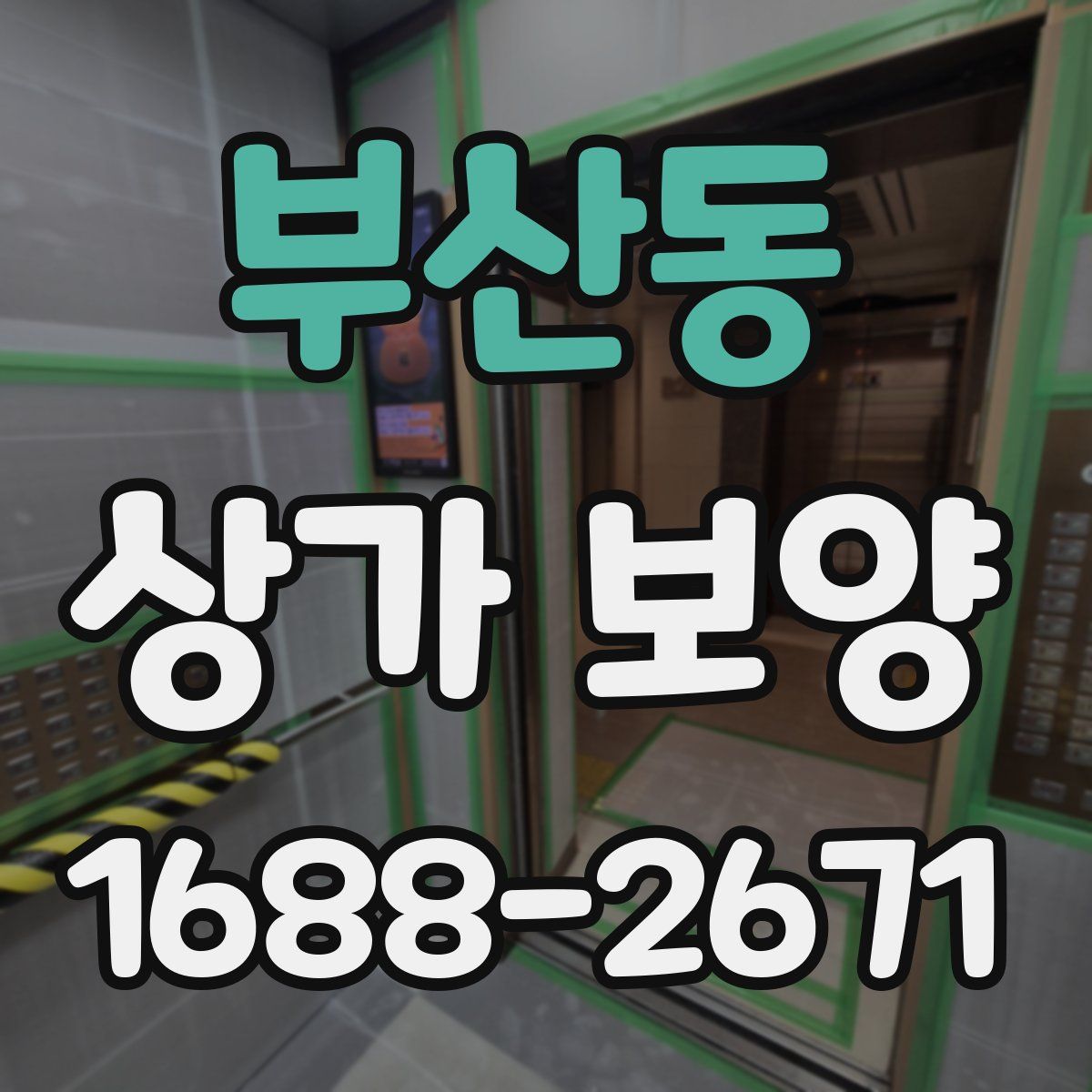 부산동 상가 보양