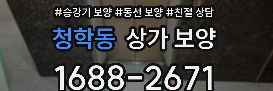 청학동 상가 보양