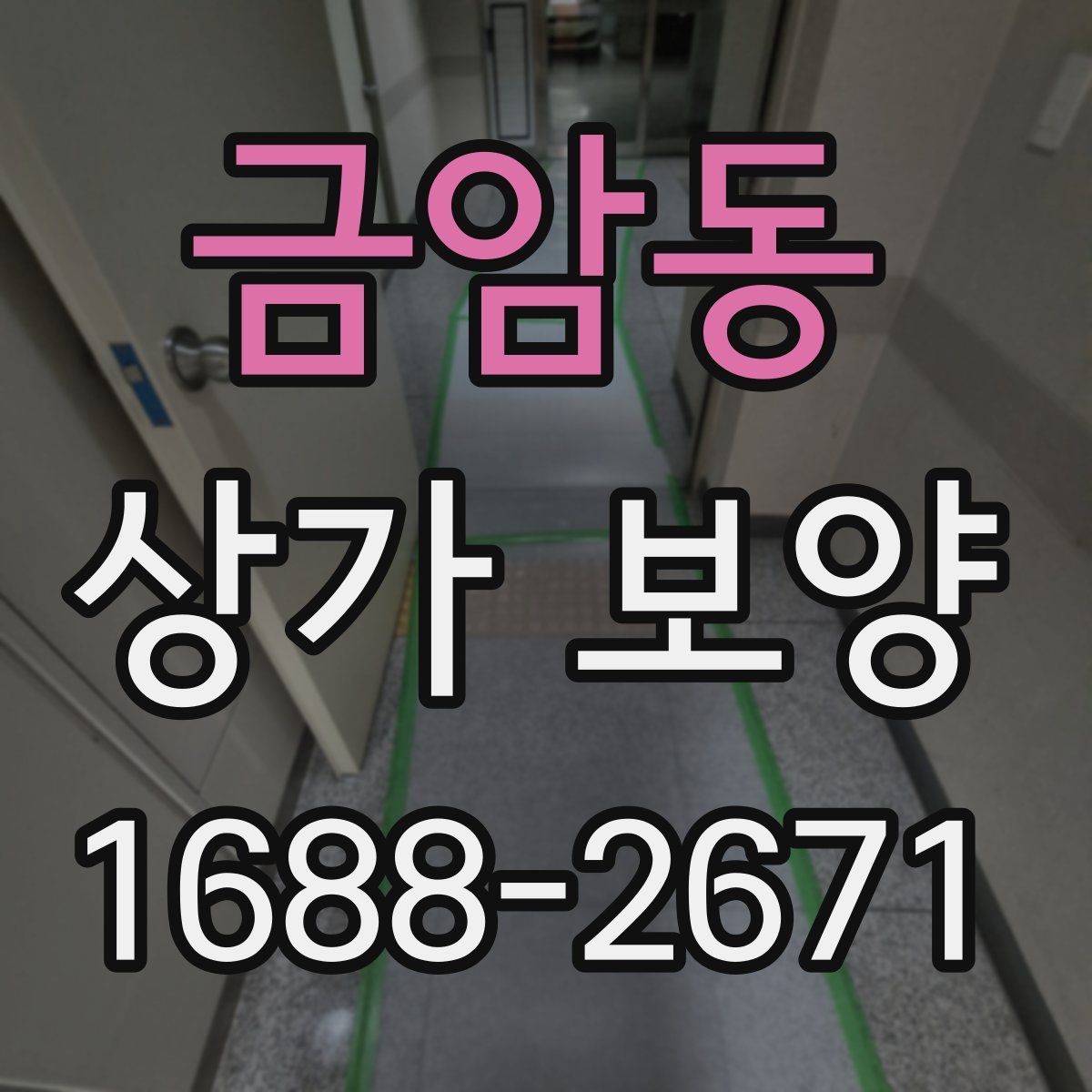 금암동 상가 보양