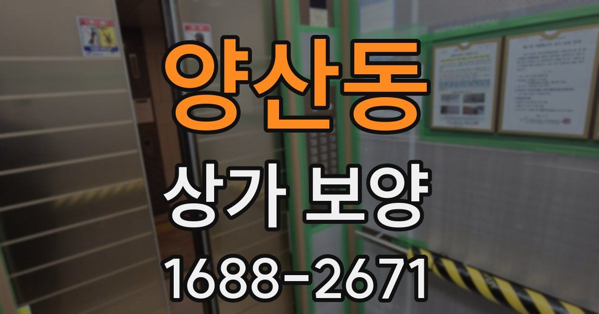 양산동 상가 보양