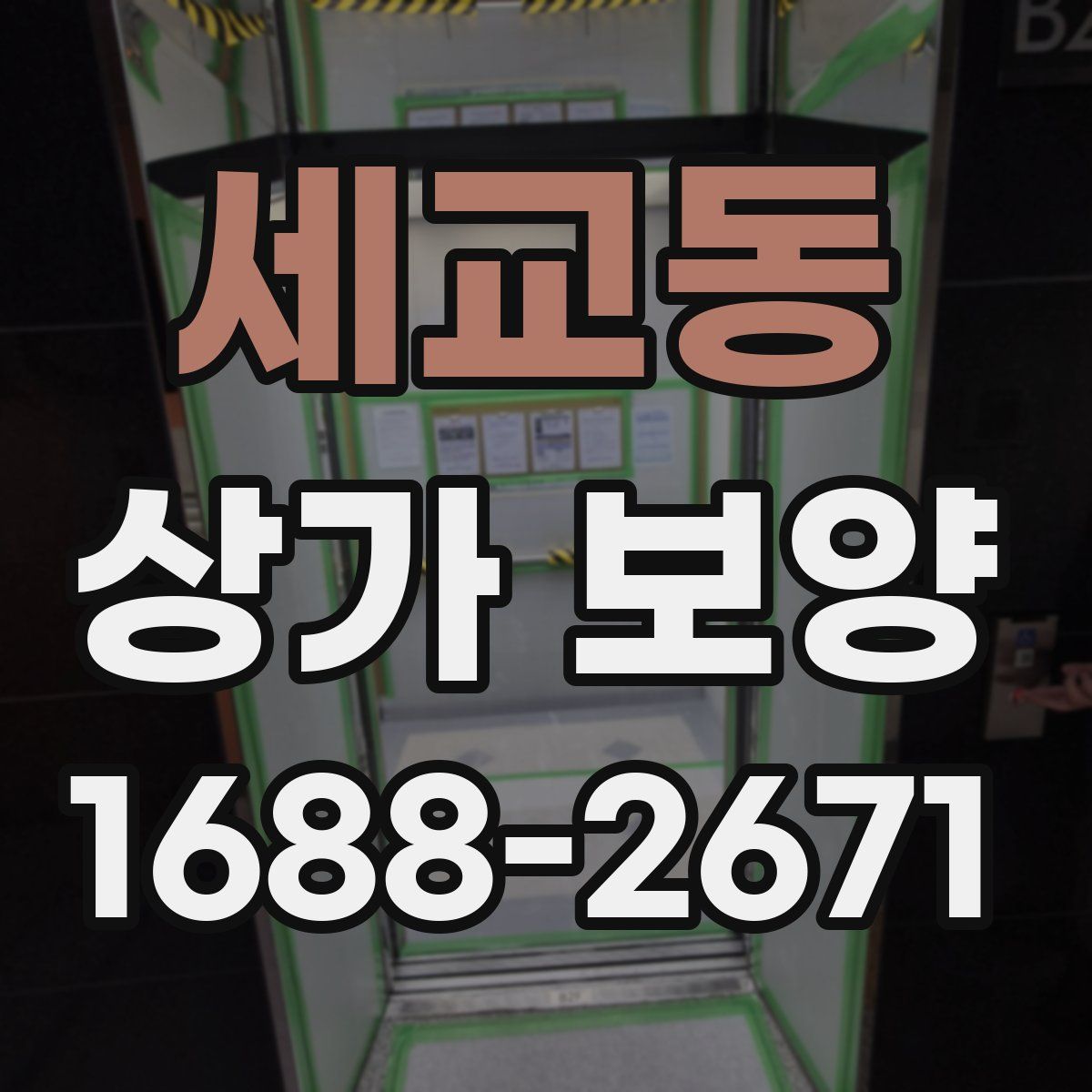 세교동 상가 보양