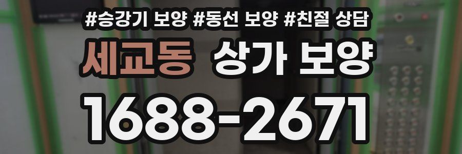 세교동 상가 보양