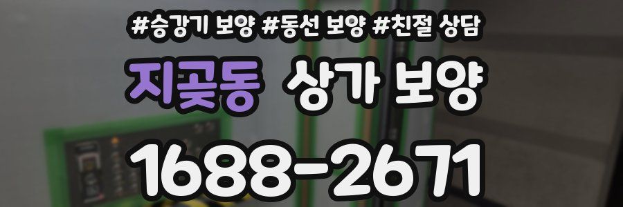 지곶동 상가 보양