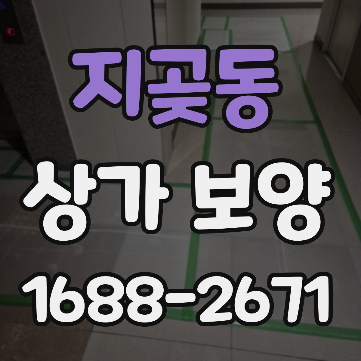 지곶동 상가 보양