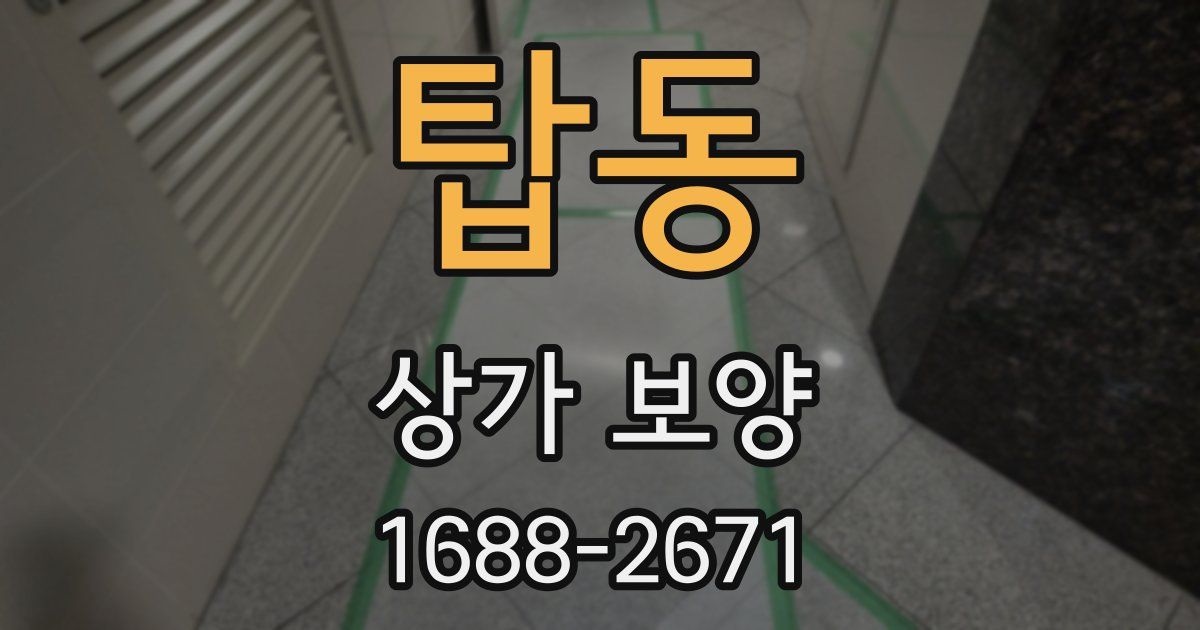탑동 상가 보양