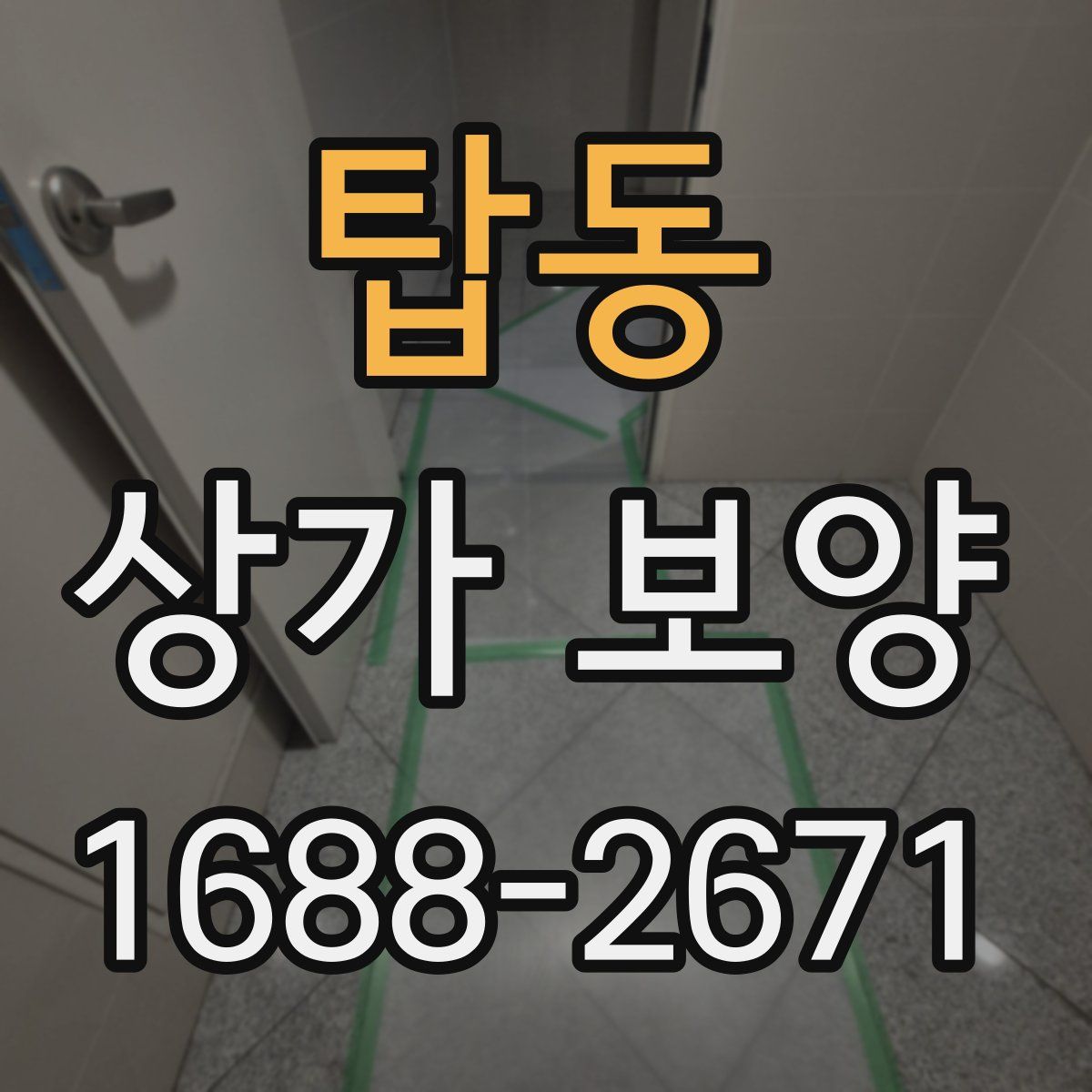 탑동 상가 보양