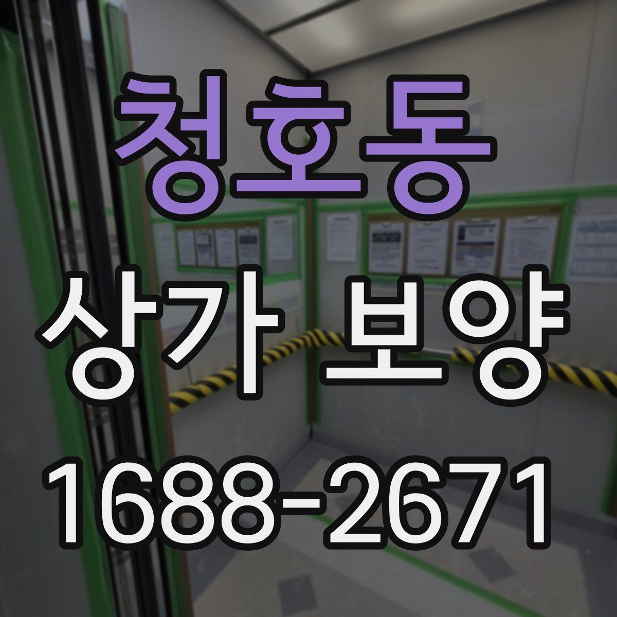 청호동 상가 보양 시 예상 비용과 변수