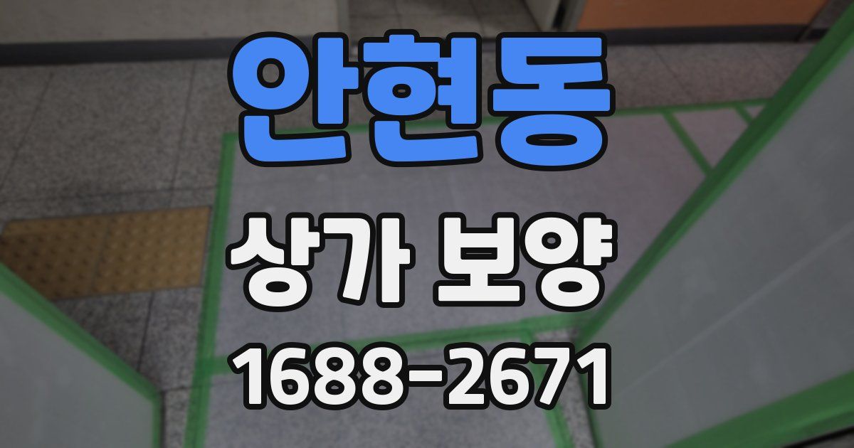 안현동 상가 보양