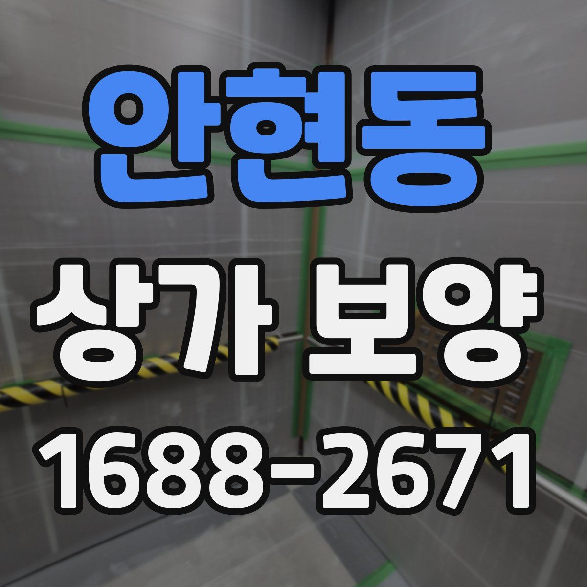 안현동 상가 보양