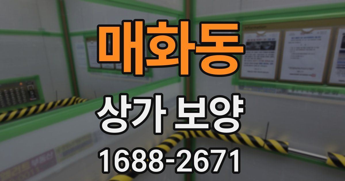 매화동 상가 보양