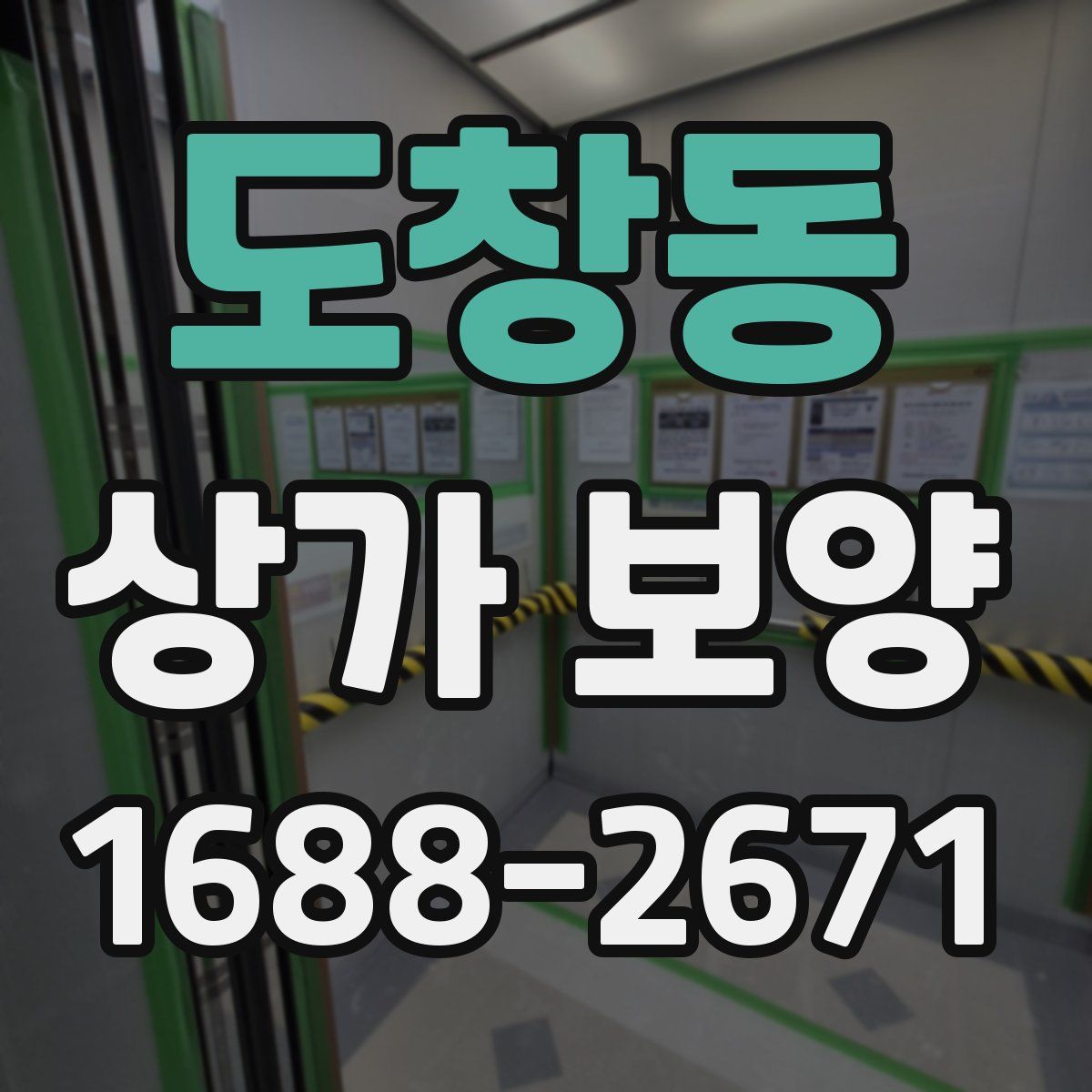 도창동 상가 보양