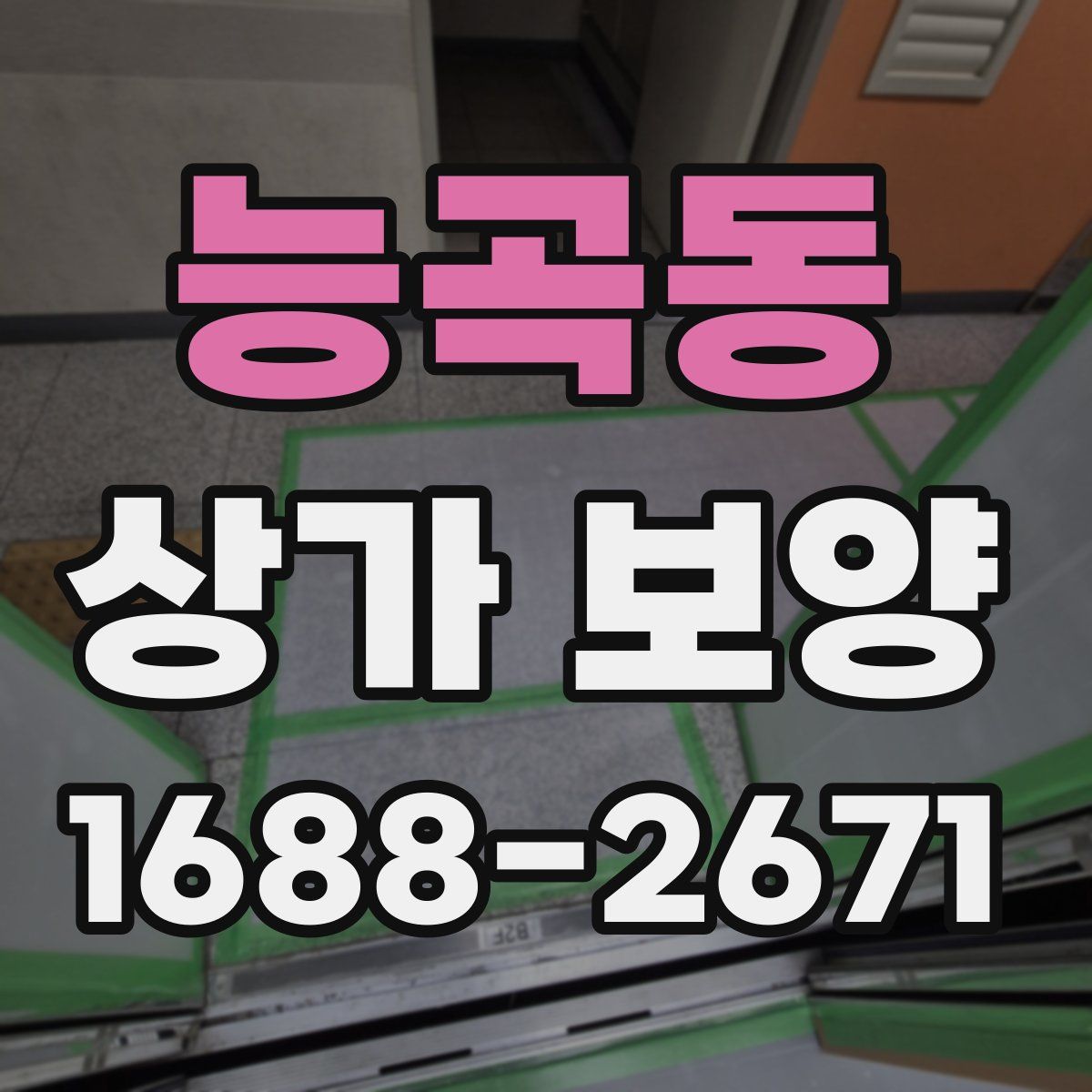 능곡동 상가 보양