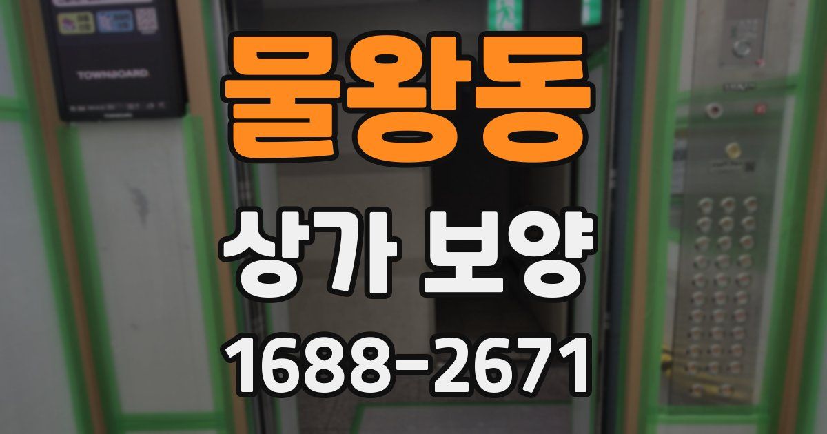 물왕동 상가 보양
