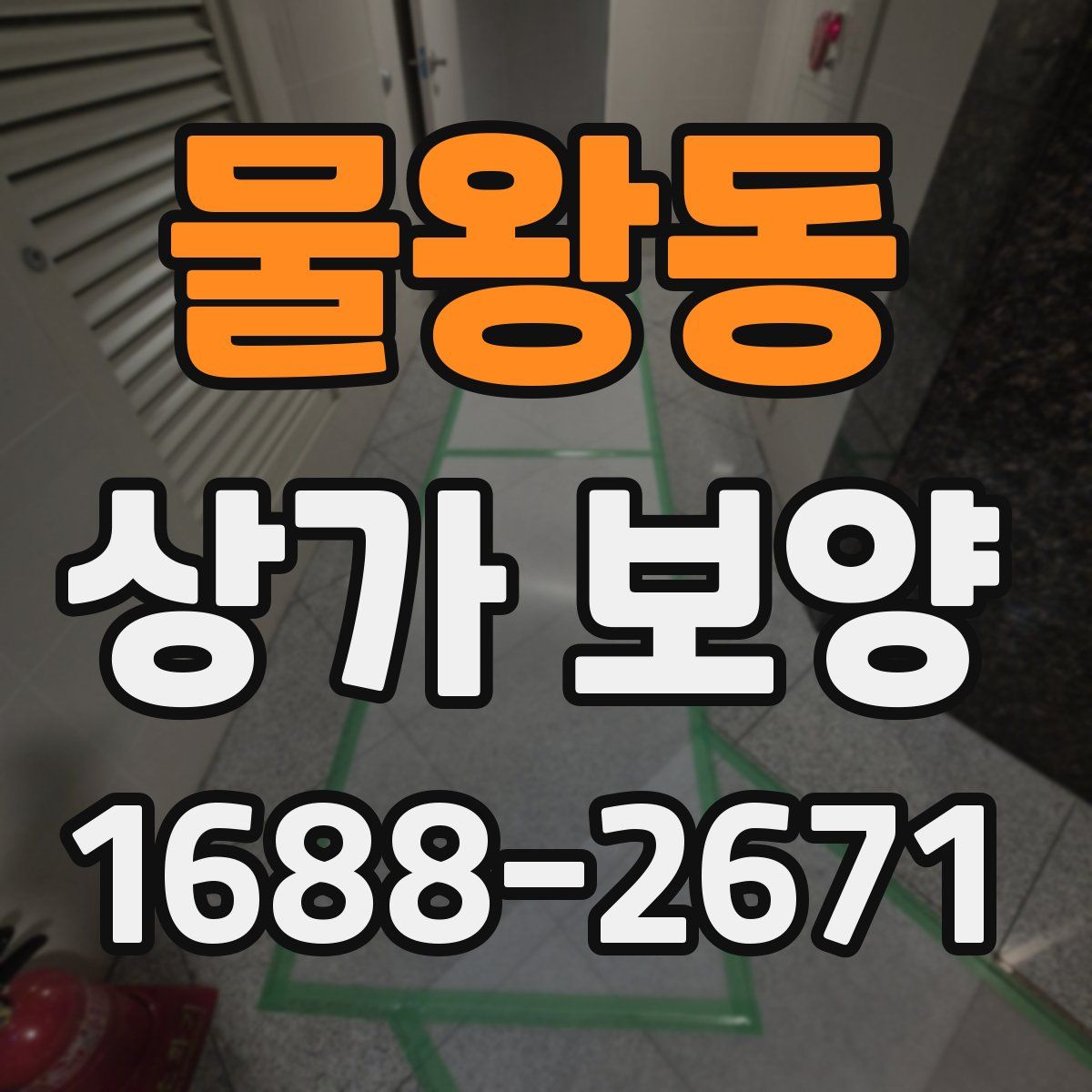 물왕동 상가 보양