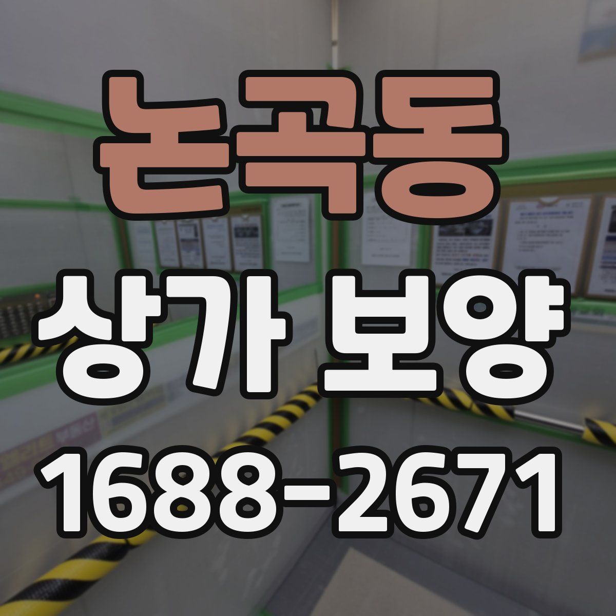 논곡동 상가 보양