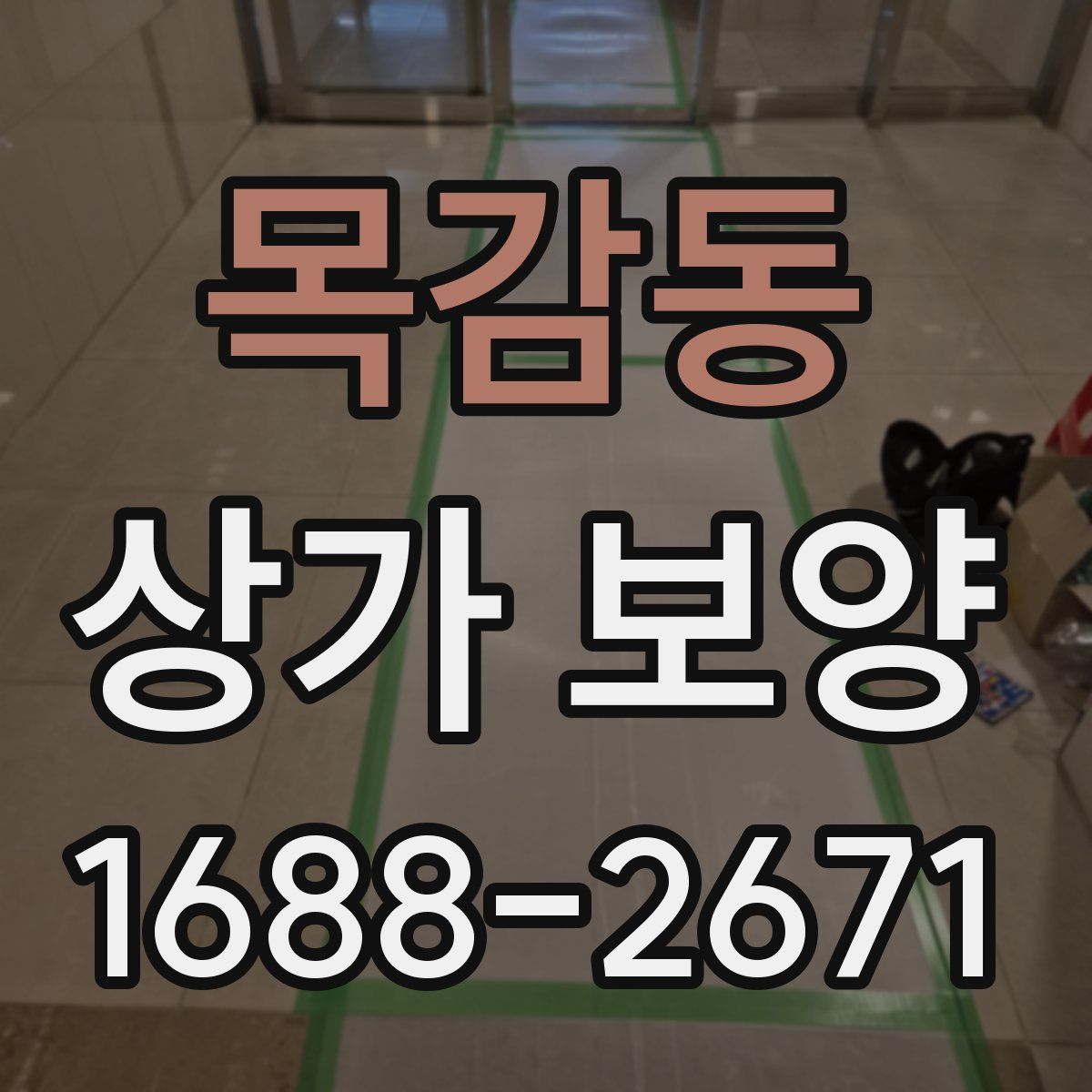 목감동 상가 보양