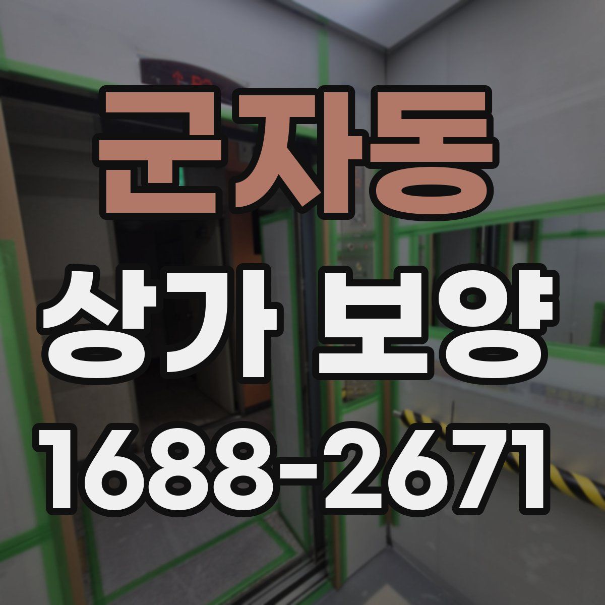 군자동 상가 보양