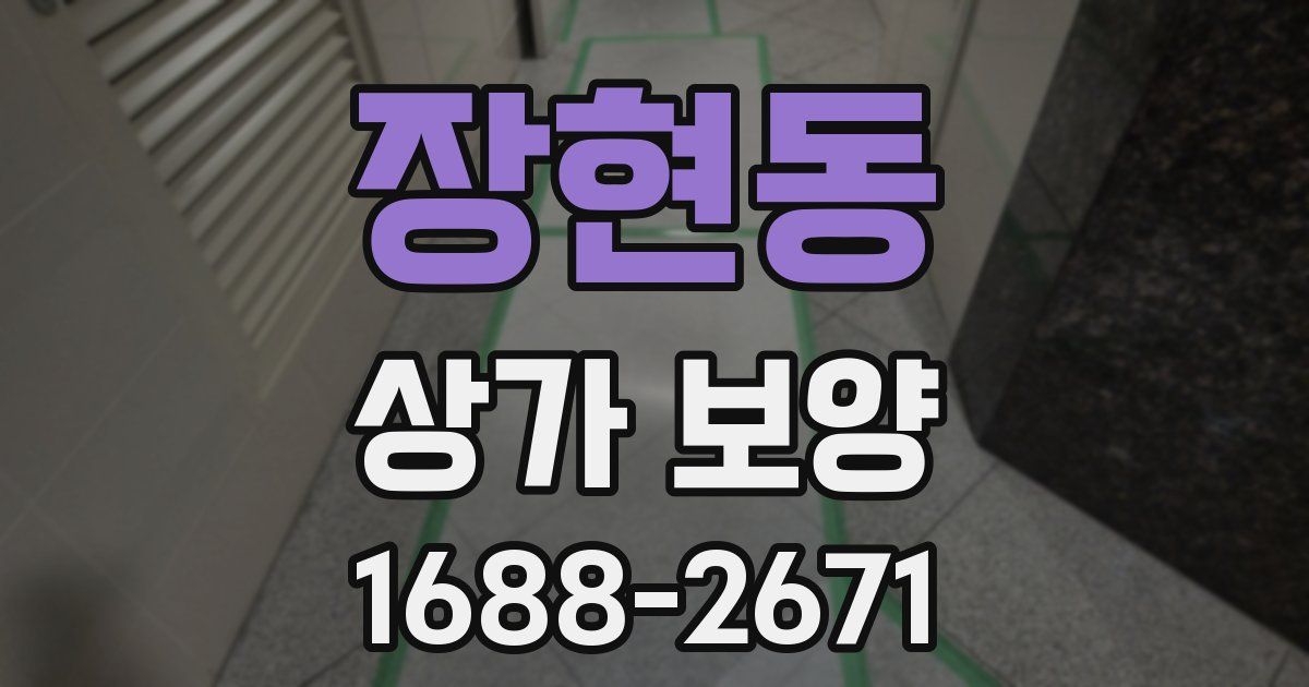 장현동 상가 보양