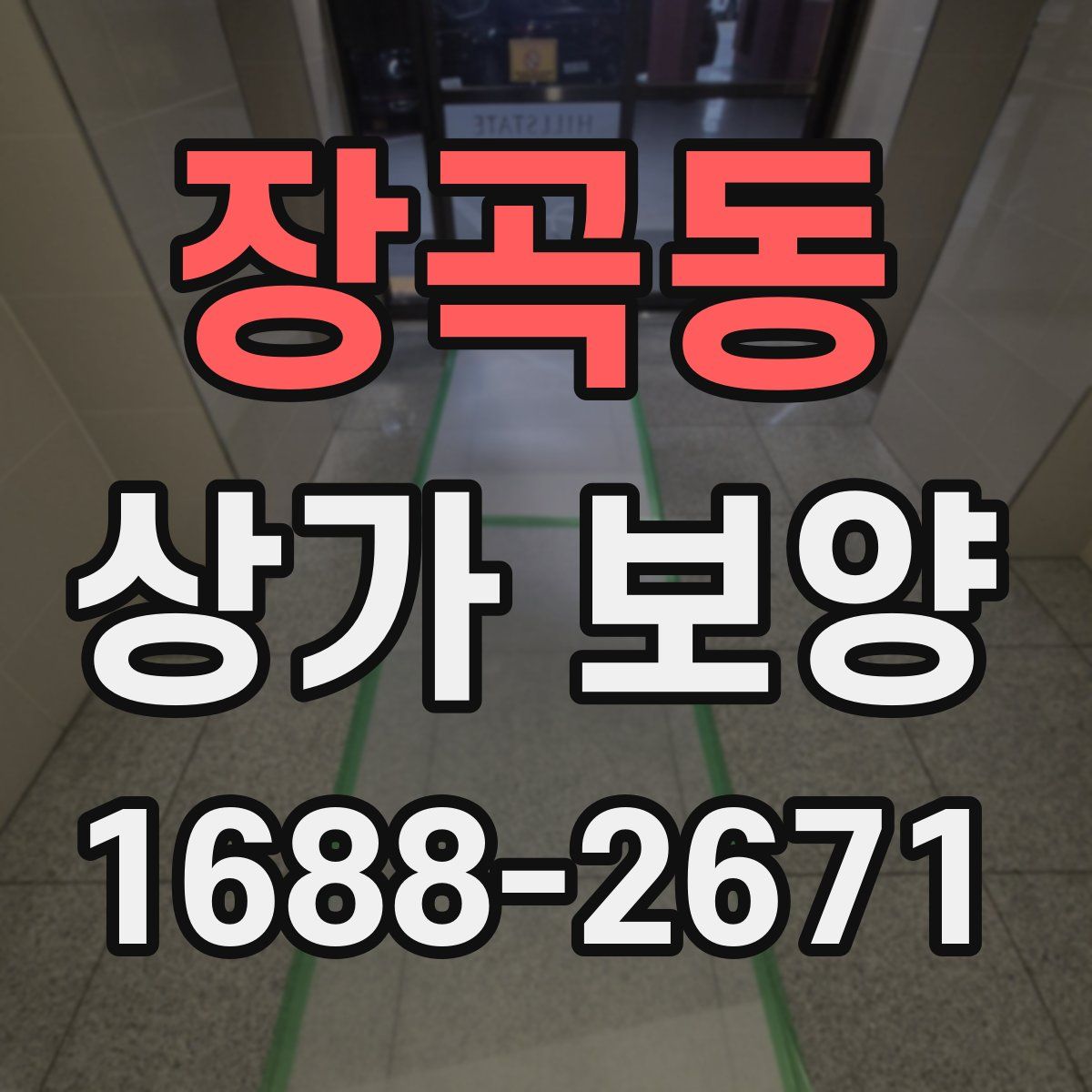 장곡동 상가 보양
