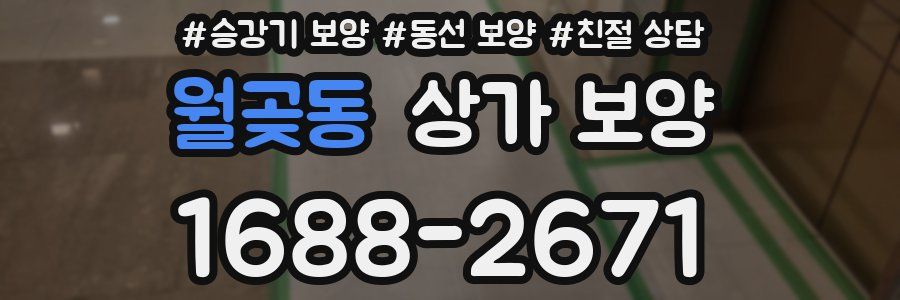 월곶동 상가 보양