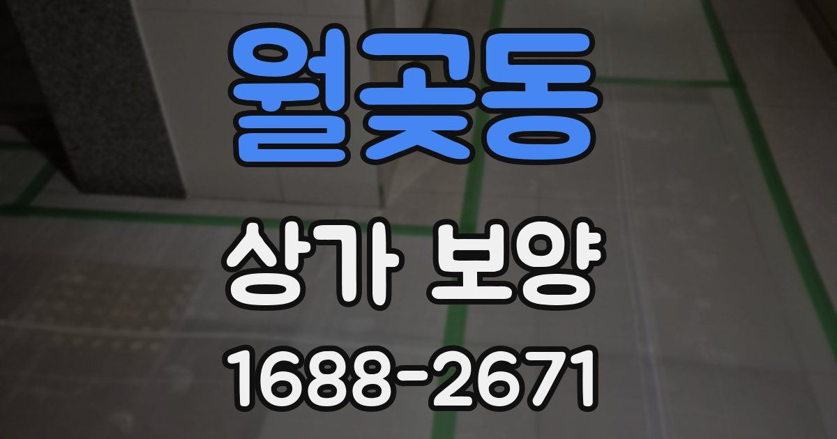월곶동 상가 보양