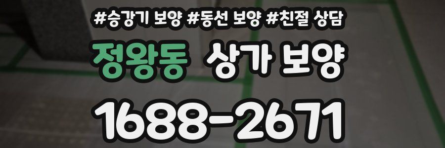 정왕동 상가 보양
