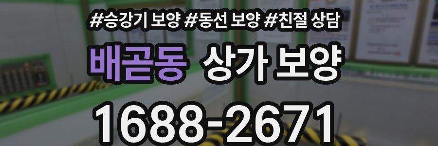 배곧동 상가 보양