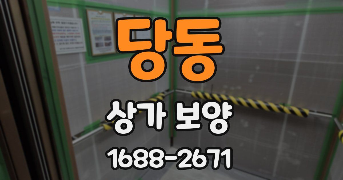 당동 상가 보양