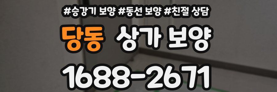 당동 상가 보양