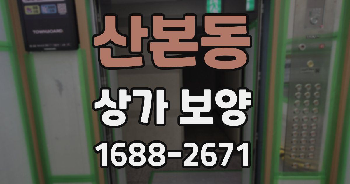 산본동 상가 보양